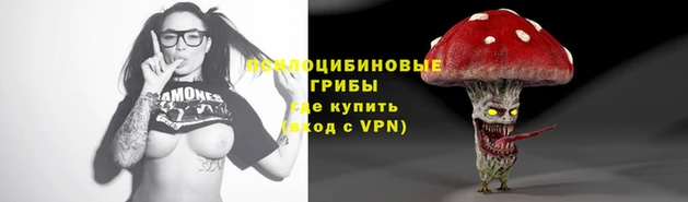 каннабис Аркадак