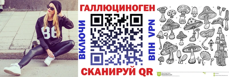 Псилоцибиновые грибы Cubensis  Усть-Джегута 